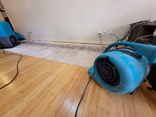 Professional Sewage Cleanup technician working in Buhl, ID